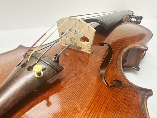 Used old spruce - used, va090-15''